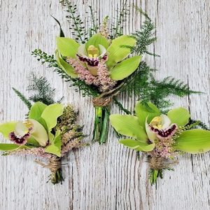 Button Hole Orchid