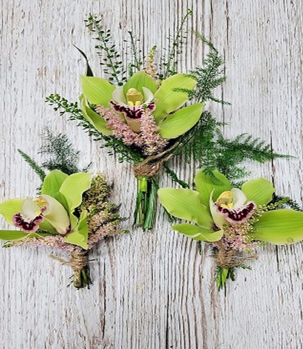 Button Hole Orchid